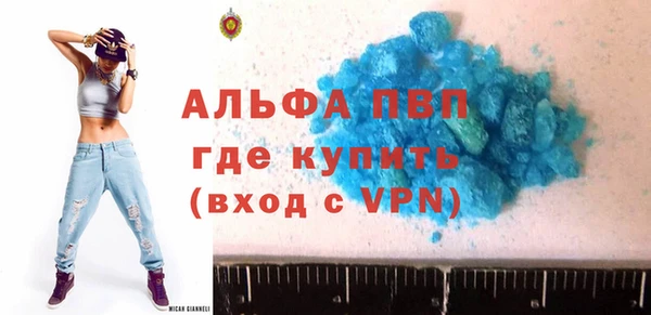 метадон Богданович
