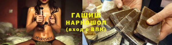 PSILOCYBIN Богородицк