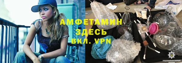 метадон Богданович