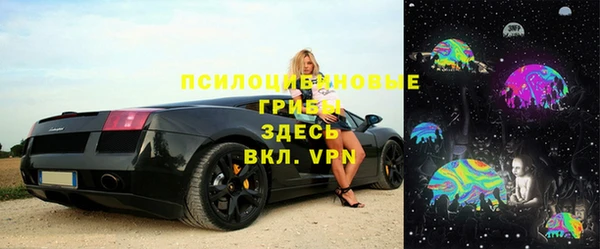 PSILOCYBIN Богородицк